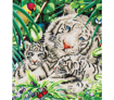White Tiger And  Cubs 