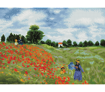 DIAMOND DOTZ - Poppy Fields (Apres Monet)