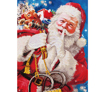 Diamond Dotz Santas Secret