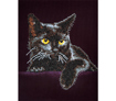 Diamond Dotz Midnight Cat 