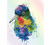 DIAMOND DOTZ - Rainbow Feathers