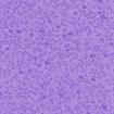 TRIPLE S - Flutter Quilt Backing Fabric - 280Cm Width Printed - passion flower