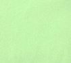 Minky - Fleece - Lime