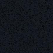 Quilt Backing - Flutter Quilt Backing Fabric - 280 Width Printed - Black