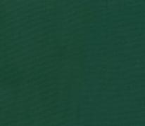 Cotton Canvas 58” Wide - Forest