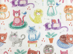 Halb Panama Digi - Cats