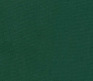 Cotton Canvas 58” Wide - Forest