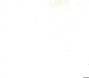 Poplin Polycotton - 80% Polyester & 20% Cotton - 44" (width) - 25 bone ivory
