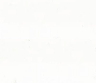 Quilters Muslin - White
