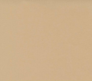 Moda - Bella Solids - Tan 9900 13 Moda No.1