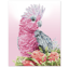DIAMOND DOTZ - Pink Galah And Banksia 51 x 41cm