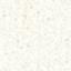 Quilt Backing - Flutter Quilt Backing Fabric - 280 Width Printed - Cream