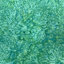 Batik Australia - 45" 100% Cotton Fabric 4 Metre Bolt - Eucalyptus 9