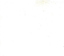 Poplin Polycotton - 80% Polyester & 20% Cotton - 44" (width) - 25 bone ivory