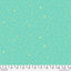 Tula Pink True Colours - Space Sprinkles - SEAGLASS