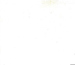 Poplin Polycotton 44  Width - 25 bone ivory